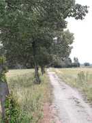 Wegeinstandsetzung